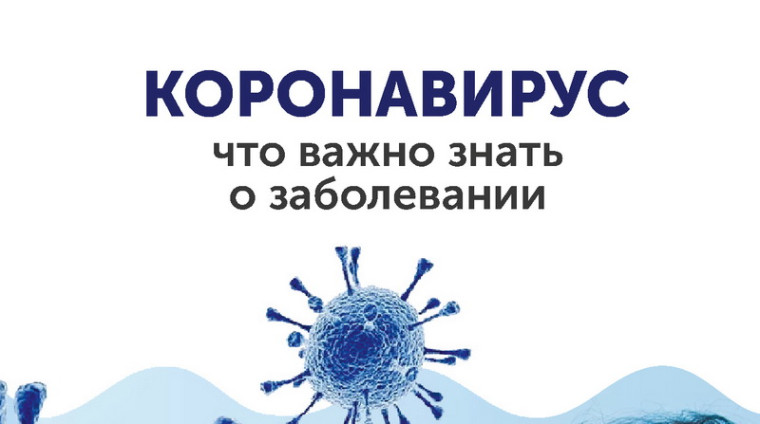 Профилактика коронавируса. Профилактика коронавируса.